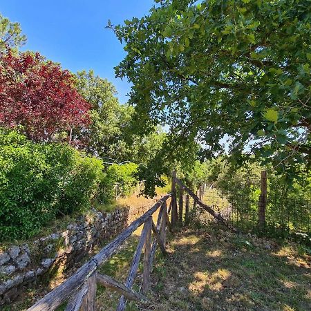 Torre Medievale Il Castellaccio Βίλα Civita Castellana Εξωτερικό φωτογραφία