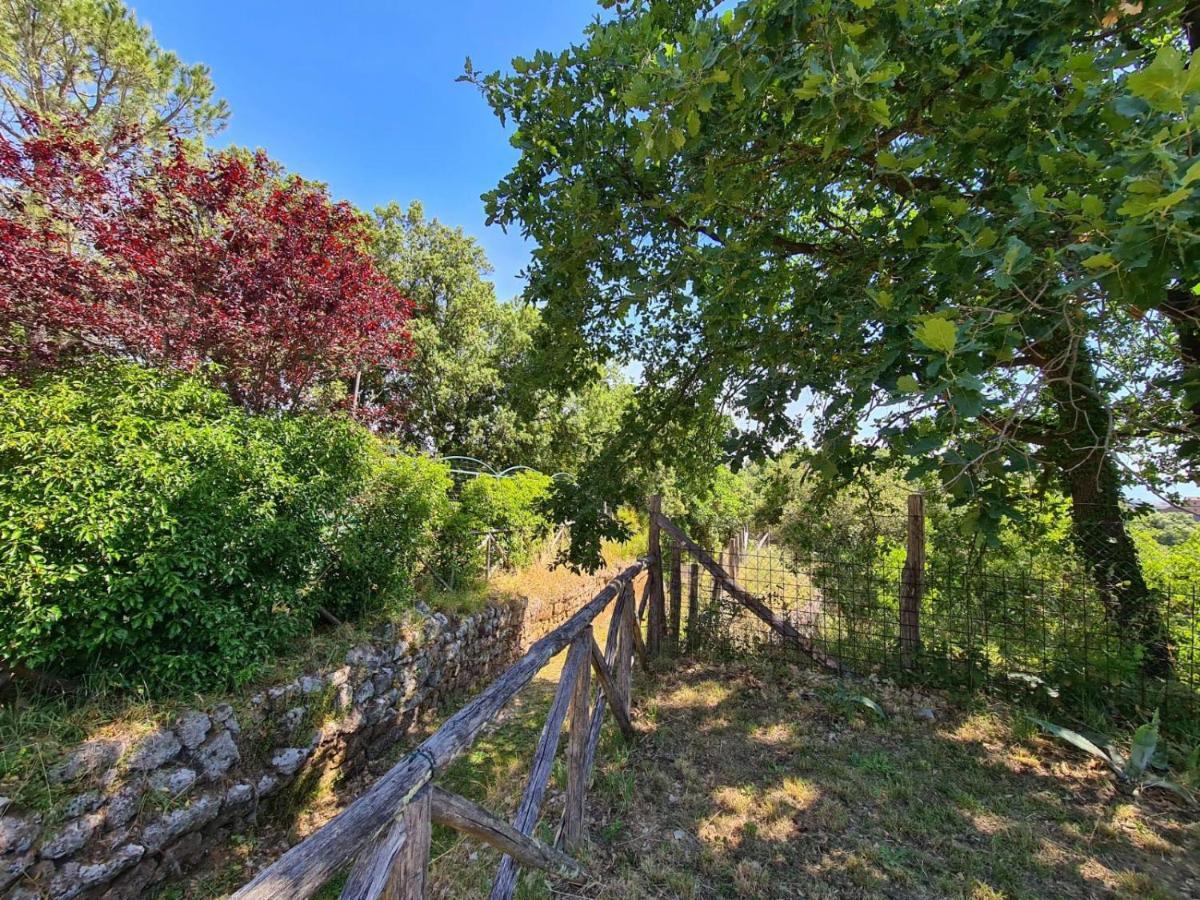 Torre Medievale Il Castellaccio Βίλα Civita Castellana Εξωτερικό φωτογραφία